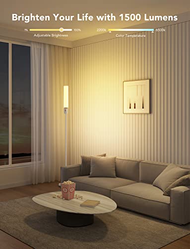 Govee RGBIC Cylinder Floor Lamp