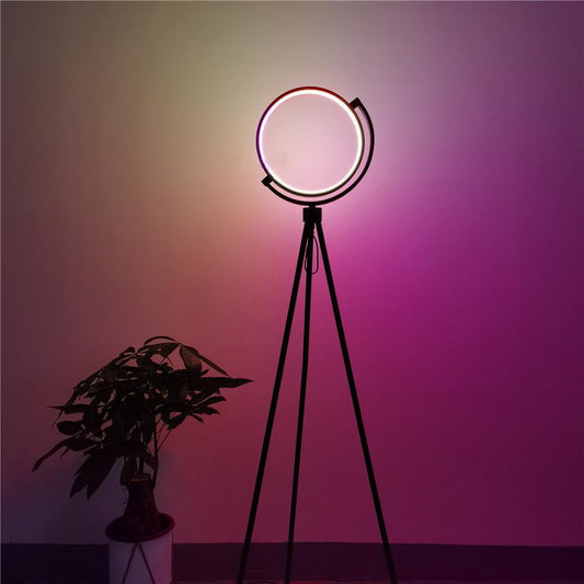 Halo Floor Lamp