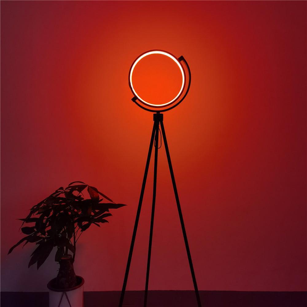 Halo Floor Lamp