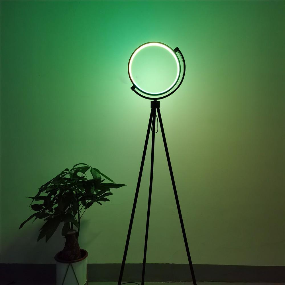 Halo Floor Lamp