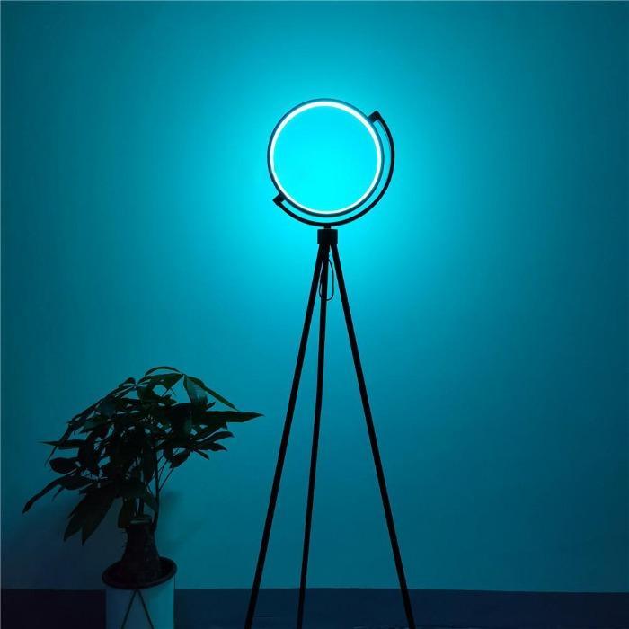 Halo Floor Lamp