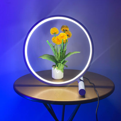 Halo Table Lamp